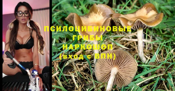 мефедрон Заводоуковск